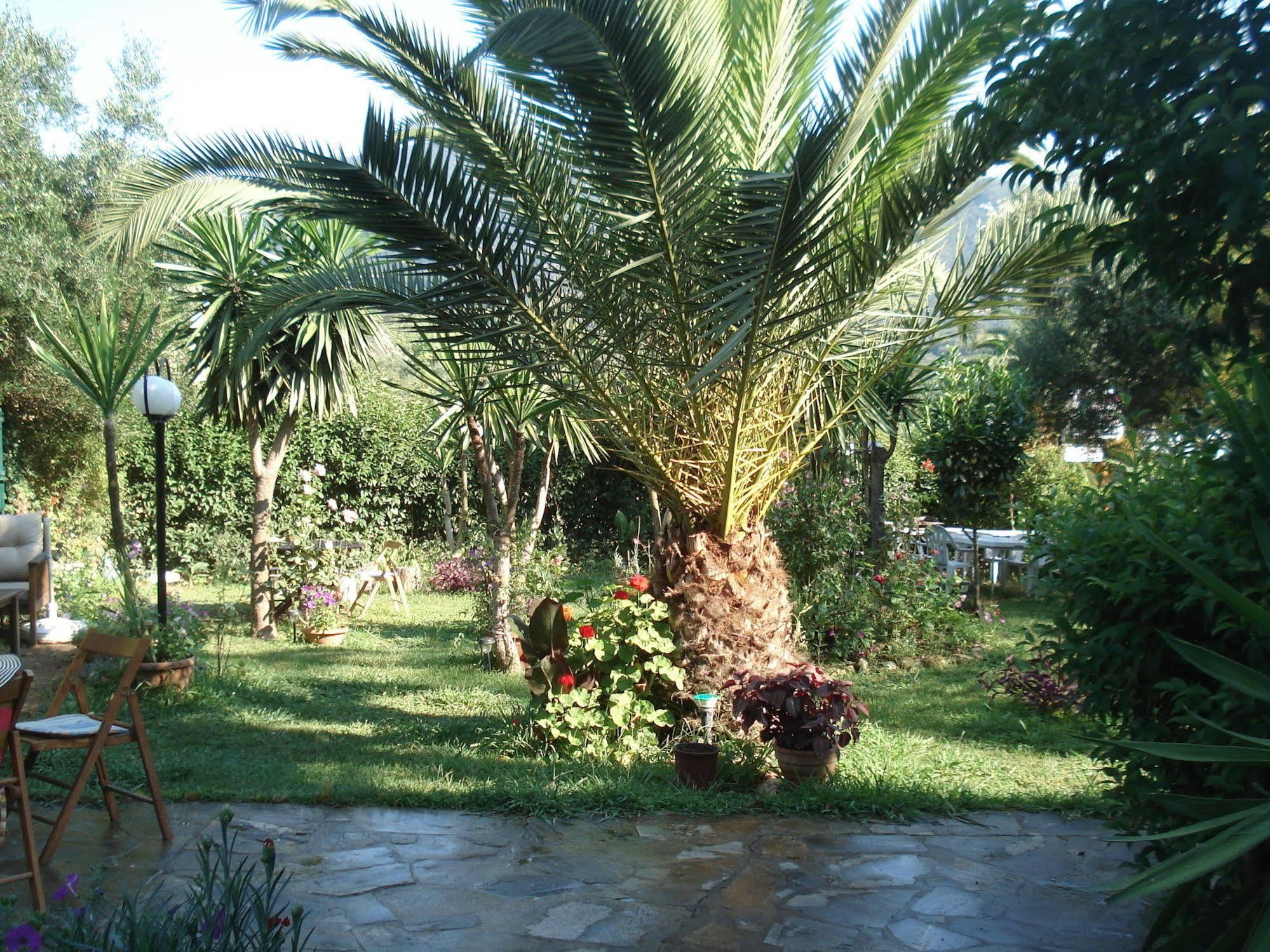 Villa Avra Dassia  Zewnętrze zdjęcie
